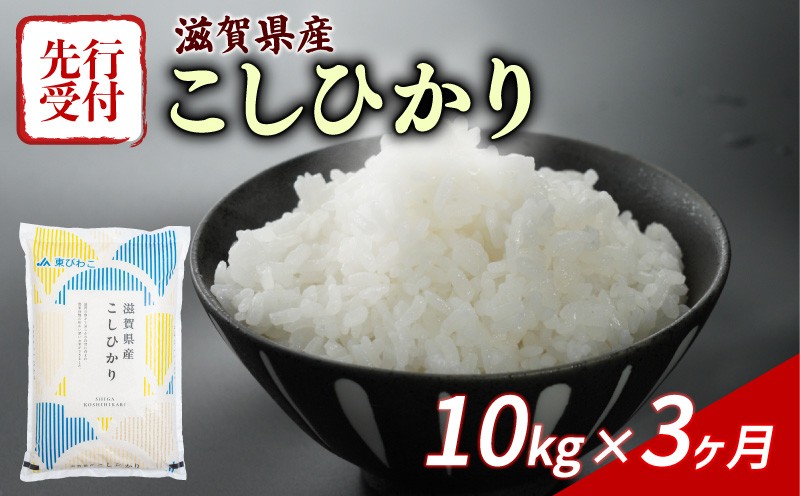 
                  【令和8年産】 先行予約 新米 こしひかり 10kg (5kg×2) 3回定期便 令和8年産 定期便 米 精米 こめ コメ お米 ご飯 米 コシヒカリ 米定期便 3か月定期便 3ヶ月定期便 3回 3ヶ月 3か月 滋賀 彦根
                
