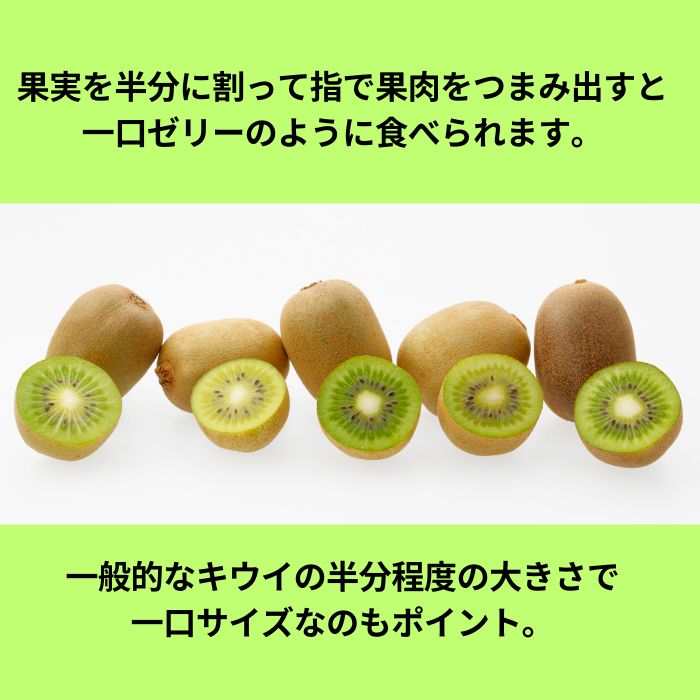 香川県オリジナルキウイフルーツ「さぬきキウイっこ®」1.3kg【予約受付中！令和6年11月上旬頃から発送】【A-46】