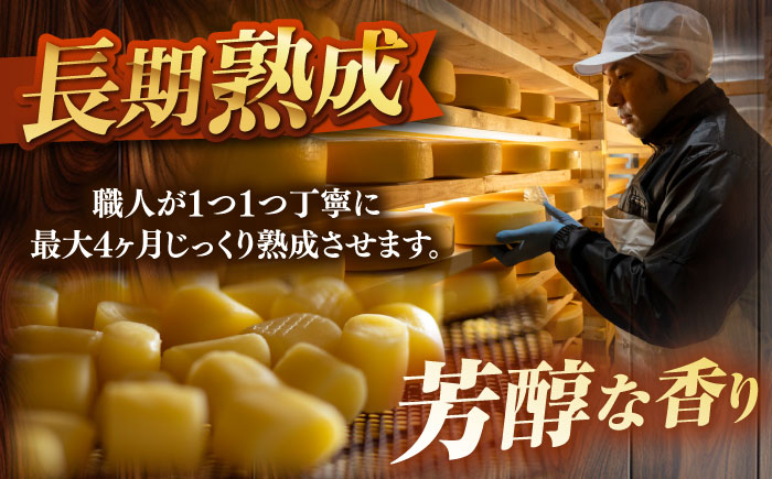 北海道十勝　あしょろチーズ工房3点セット《足寄町》【合同会社あしょろチーズ工房】北海道産 十勝チーズ 食べくらべ 食べ比べ チーズ ハードタイプ セミハード ラクレット モッツァレラ 冷蔵 十勝 あし