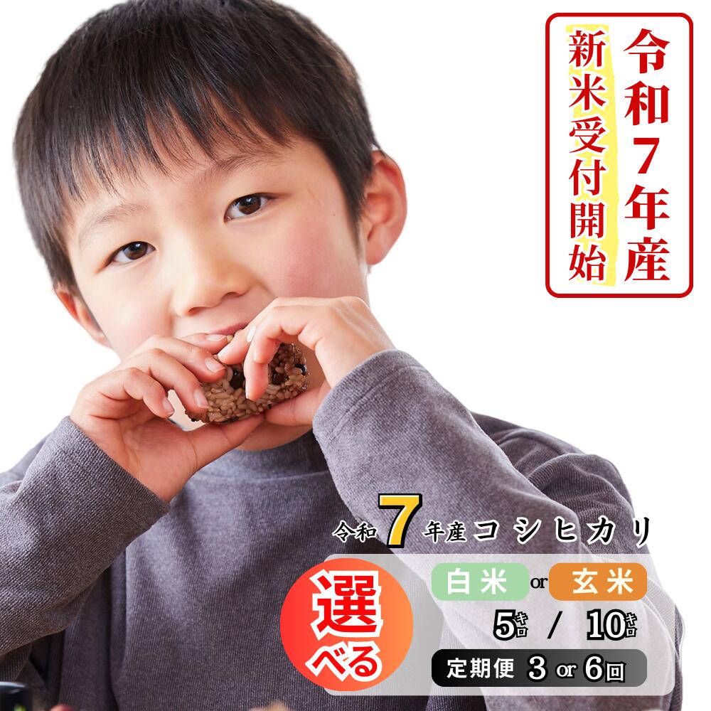 【ふるさと納税】《令和7年産新米受付開始》令和7年産 コシヒカリ 選べる定期便 3回 6回 12回 白米 玄米 5kg 10kg 岡山 あわくら源流米 K-al-JECA