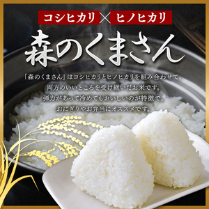 【 定期3回 】森のくまさん 白米 20kg （5kg×4袋）×3回 | 米 お米 精米 白米 20kg 5kg 4袋 3回 定期便 送料無料 熊本県産  