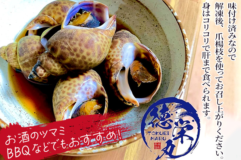 黒バイ貝煮付け 500g