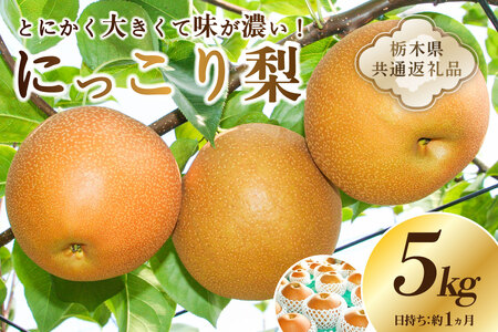 【栃木県共通返礼品】 JAなすの産　梨　にっこり　5kg ns096-001 にっこり梨 果物 国産 ﾌﾙｰﾂ 果肉 果汁 和梨 食品 ﾃﾞｻﾞｰﾄ