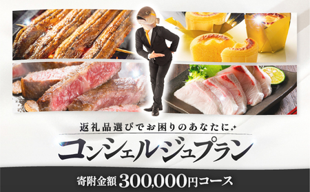 コンシェルジュプラン 寄付額30万円コース KN000-CP030 コンシェルジュ プラン 選べる コース うなぎ 肉 牛 豚 鶏 魚 かんぱち 酒 焼酎 菓子 スイーツ 惣菜 総菜 野菜 日用品 おまかせ 厳選 鹿児島 鹿屋市 おすすめ ランキング プレゼント ギフト ランキング