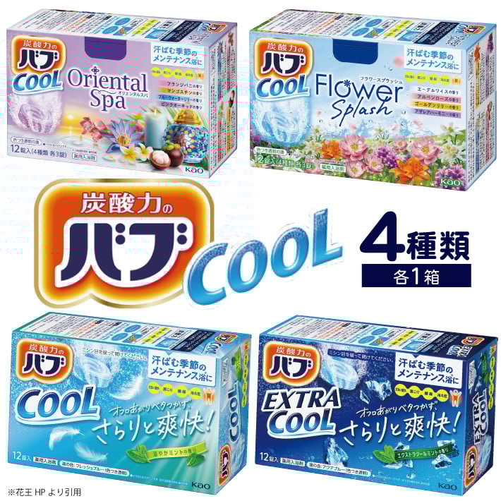 
            SA2206　花王バブ クール 4種詰め合わせ　計4箱
          