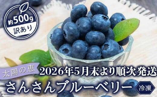 
            【早期予約開始!!2026年5月末より順次発送】【訳あり】 ブルーベリー 500g × 1 パック 冷凍 健康 食品 果物 フルーツ ベリー そのまま おやつ 朝食 加工 お菓子 製菓 シャーベット ジャム ソース スムージー いちかわファーム 高知県 須崎市 IF007
          