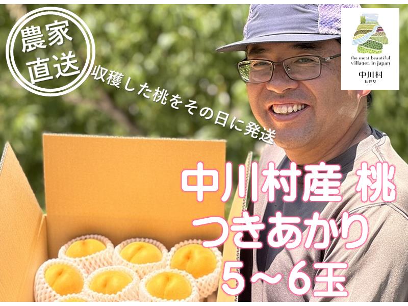 担当者おすすめ「味覚の里なかがわ」の採れたてくだもの【農家直送】於利屋荒井農園の桃（つきあかり）約1.5Ｋｇ