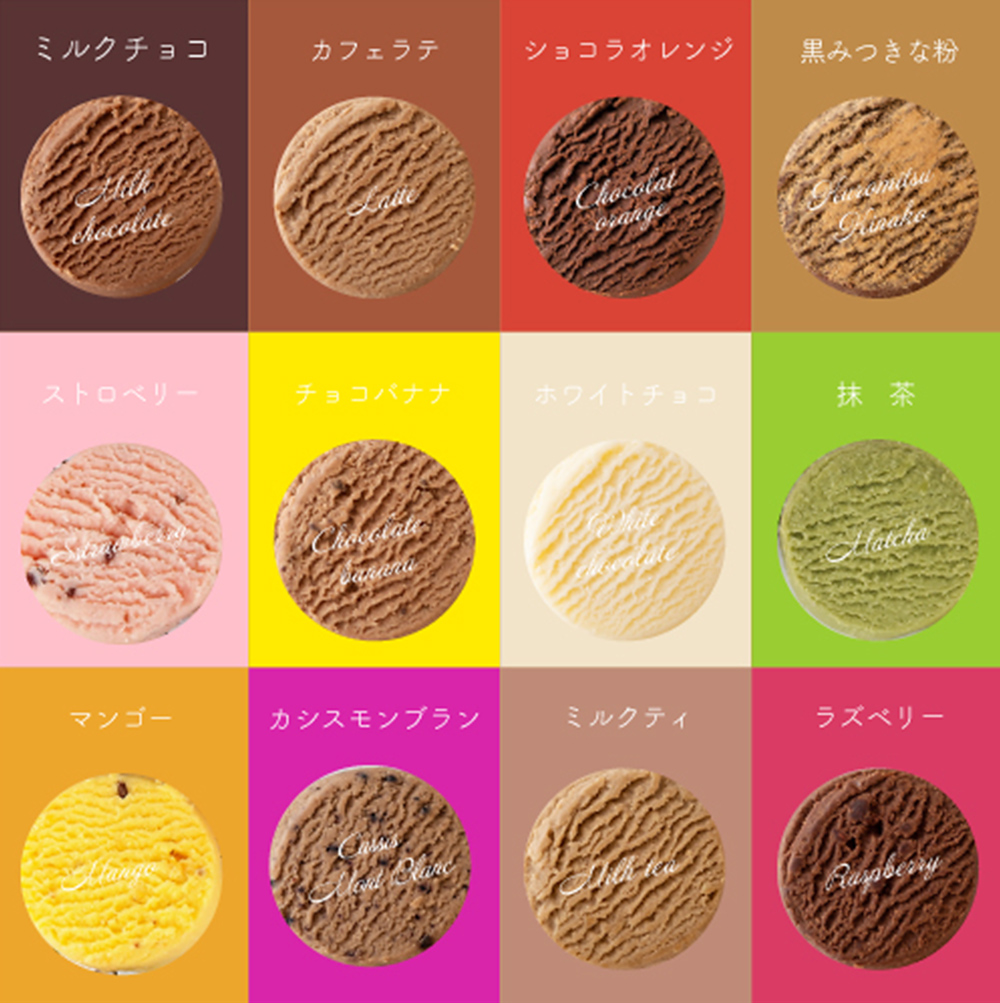 アルパジョン 新食感 ！ とろける クッキー 12袋入 ベルギー産 チョコレート 使用