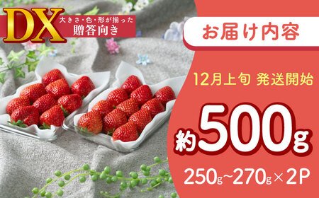 【2025年12月上旬より順次発送】フルーツソムリエが選んだ【冬】あまおうDX(デラックス)2パック 吉富町/南国フルーツ株式会社[BGAG020]