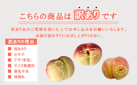 【2026年発送★先行予約】訳あり桃10玉以上　2.5㎏～3.5㎏154-049-26y