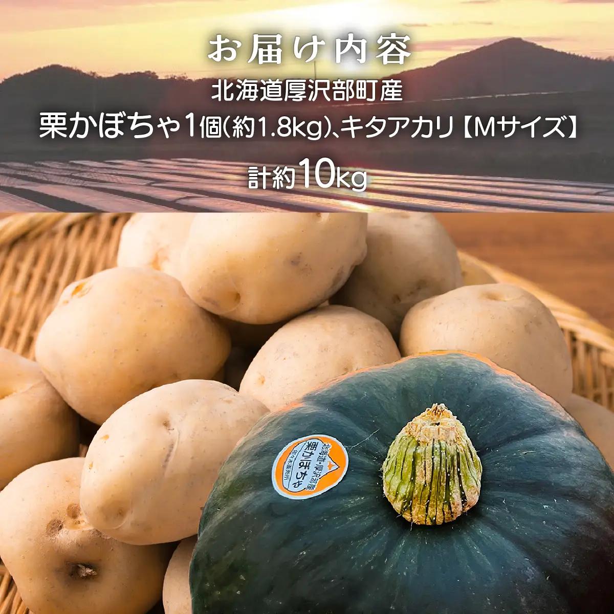 【2026年9月下旬より発送】栗かぼちゃ1個・キタアカリのセット 約10kg【Ｍサイズ】 ASO043