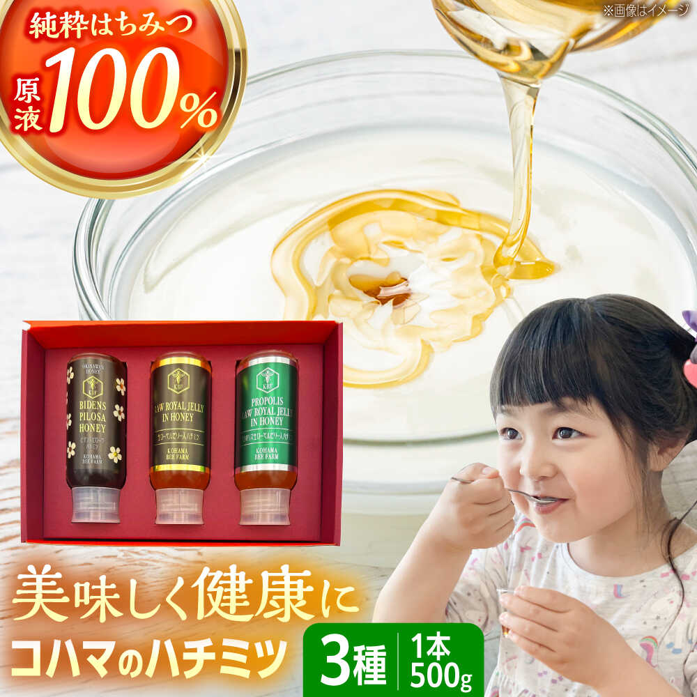 【ふるさと納税】コハマのハチミツ 500g 3本セット 蜂蜜 はちみつ ハチミツ 国産 ギフト 母の日 父の日 沖縄市 / 農業生産法人株式会社小浜養蜂場 [BCAQ005]