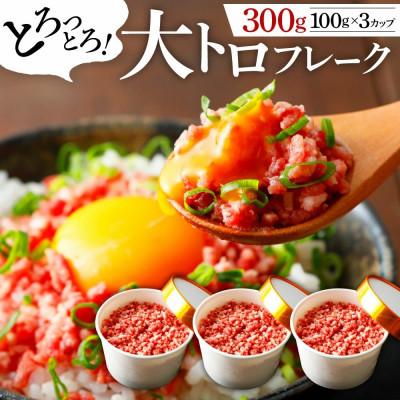 ふるさと納税 合志市 馬肉大トロフレーク 300g 約100g×3カップ(合志市)