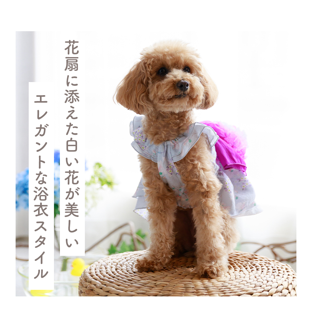 サンドレス浴衣 紫×ピンク 花扇 (S) 浴衣風 祭り 和風 夏 花柄 ドッグウェア 【ココアトワ(cocoAtoi)】