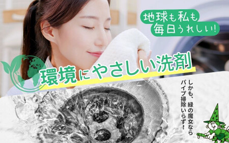 【毎月定期便】ふるさと納税専門誌掲載品　環境配慮型洗剤緑の魔女ランドリー5L×3セット 全12回 | 茨城県 龍ケ崎市 洗剤 パイプクリーナー 詰まり 臭い 排水溝 環境配慮 洗濯槽 手肌 優しい 汚