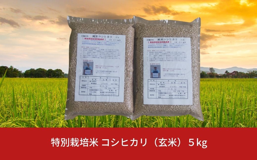 
            特別栽培米 コシヒカリ 玄米 5kg 新潟県産 令和7年産 [佐藤農産有機センター]【011S312】
          