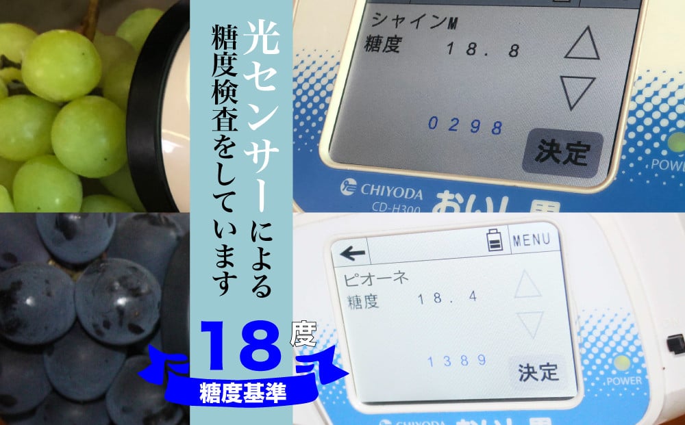光センサー糖度計により糖度18度基準でシャインマスカットとピオーネを選果してお届けします。