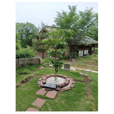 ふるさと納税 那須烏山市 ペット供養お焚き上げ用ハガキセット 4-1 |  | 02