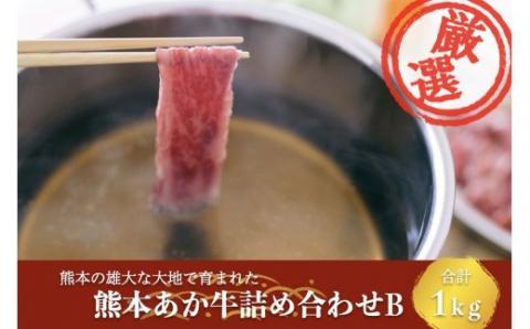 【矢野畜産】詰め合わせBセット 産地直送 くまもと 国産 熊本 阿蘇 和牛 あか牛 褐毛和種 あかげわしゅ 赤身 旨み凝縮 切り落とし 500g すき焼き しゃぶしゃぶ 500g 計1kg 矢野畜産 にくやの 老舗 おうちごはん おうち時間 通販 贈答 ギフト 阿蘇の自然の宝物