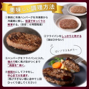 北海道十勝芽室町 あの！三國清三シェフが推奨！北海道生ハンバーグ２種 me039-001c