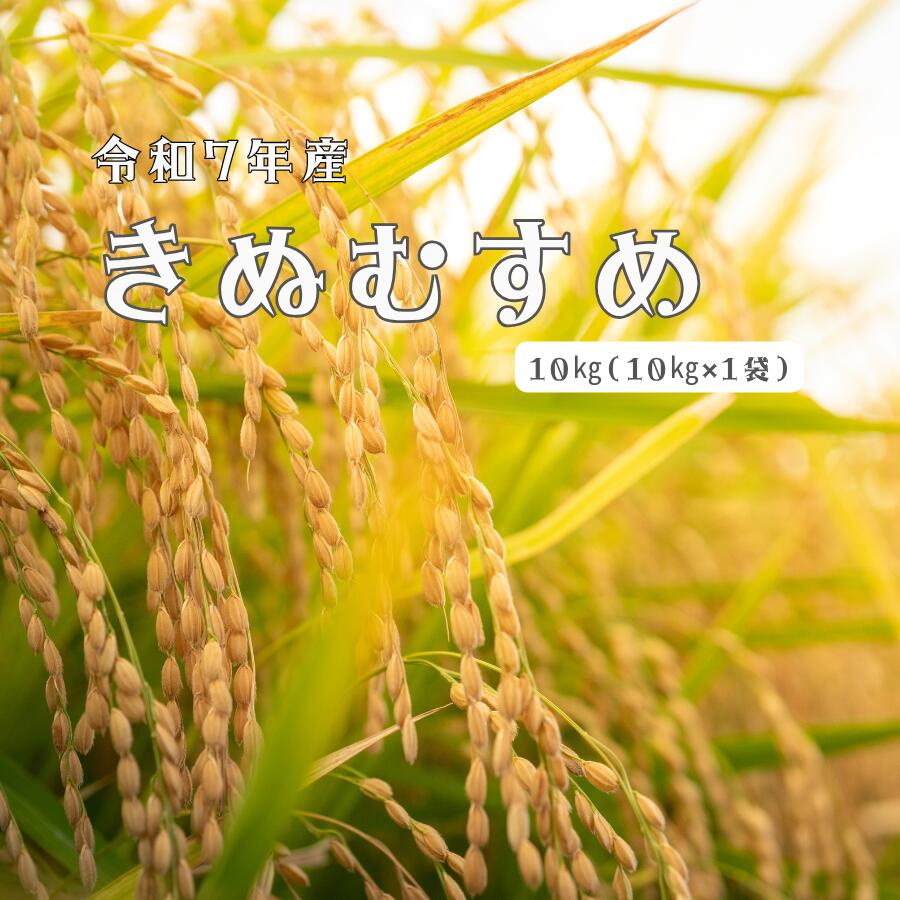 【ふるさと納税】令和7年産 しまね川本 きぬむすめ 10kg 島根県 川本町産 老舗米屋 厳選 藤屋