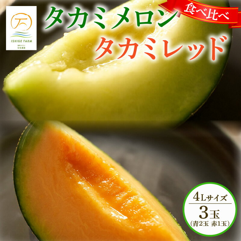【ふるさと納税】 ＜2025年 先行予約 ＞ タカミメロン 青肉 赤肉 セット 4L×3玉 6月 7月 発送 産地直送 メロン 食べ比べ 高級 糖度 タカミレッド 飯岡メロン ブランドメロン 贈答 ギフト プレゼント 果物 フルーツ 千葉県 旭市 石毛農園