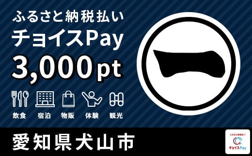 
犬山市チョイスPay 3,000pt（1pt＝1円）【会員限定のお礼の品】
