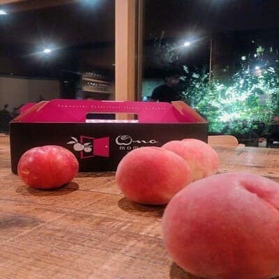 【5年連続TV出演達成】今、最も熱視線を注がれる『樹上完熟ブランド桃』2026年9月上旬より発送【配送不可地域：離島・北海道・沖縄県・中国・四国・九州】