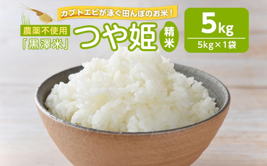 
                  農薬不使用 つや姫 精米 5kg ＜カブトエビ田んぼで育てたお米＞ 黒澤米 宮城県登米市産 お米 おこめ 米 コメ 白米 ご飯 ごはん おにぎり お弁当 【株式会社天体】tm448
                