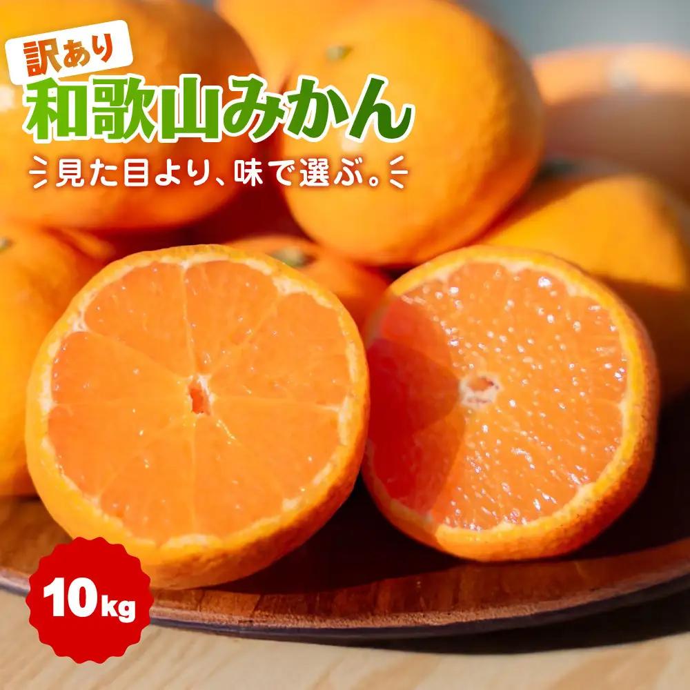 【訳あり】和歌山みかん 約9.5kg+補償分約500g サイズ混合 11月より順次発送 訳ありみかん 【red1】