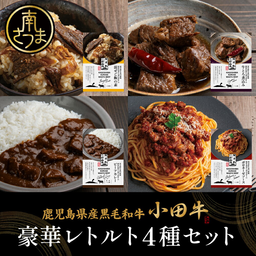 【ふるさと納税】豪華レトルト4種 (カレー・パスタ・牛とろ煮込み・混ぜご飯の素) プレミアムブランド「小田牛」黒毛和牛 鹿児島県産 牛肉 お肉 惣菜 常温保存 簡単調理 電子レンジ 湯煎 おかず レトルト 和食 洋食 常温 ギフト 贈答用 小田畜産 南さつま市 送料無料