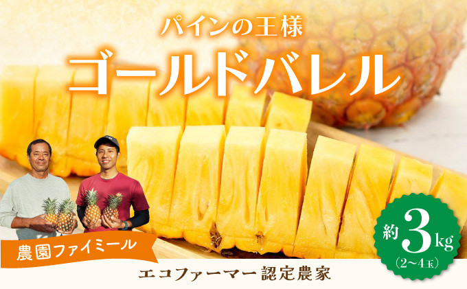 
            2025年 先行予約 完熟 ゴールドバレル 約3kg 2～4玉入り 最高級 パイン 果物 フルーツ
          