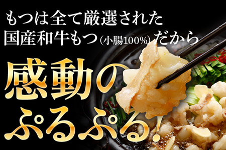 和牛もつ鍋 醤油味 5人前+無着色辛子明太子500g セット ホルモン 冷凍 福岡 グルメ お取り寄せ わけあり めんたい めんたいこ たらこ 国産 保存