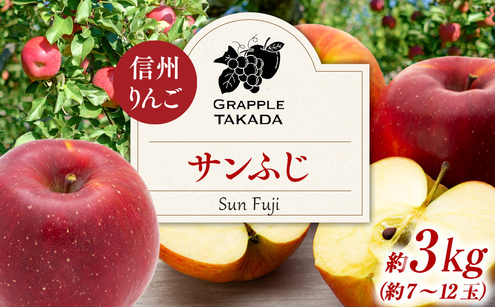 
                  信州りんご サンふじ3kg ※オンライン決済限定 りんご リンゴ 林檎 長野 フルーツ 果物 信州産 長野県産 特産 産地直送 おすすめ　[№5675-1282]
                
