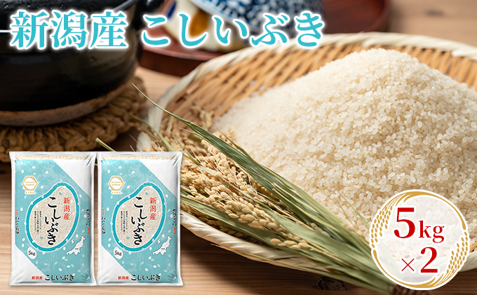 新潟産こしいぶき 5kg×2 お米 精米 白米 ご飯 ブランド米 銘柄米 おにぎり お弁当 産地直送