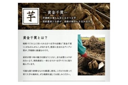 No.066 極上蔵の師魂1800・沈壽官窯「カラカラセット＋ソラキュウ」【小正醸造】