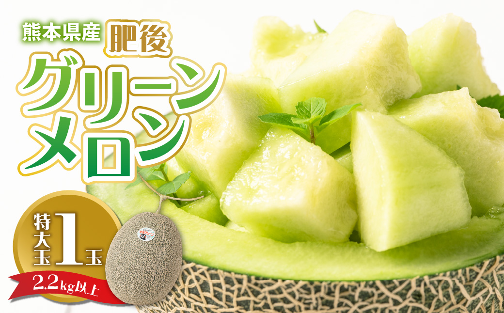【先行予約】　熊本県産 肥後グリーンメロン（特大玉1玉）2.2kg以上 メロン 果物 フルーツ 【2025年6月上旬より順次発送】