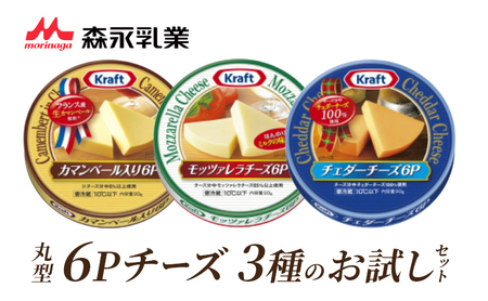 チーズ 丸形 6P 3種 お試し 詰め合わせ 森永 チーズ