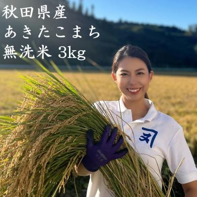 ふるさと納税 湯沢市 【米農家直送】特Aランク厳選秋田県産あきたこまち【無洗米3kg】[B2314]