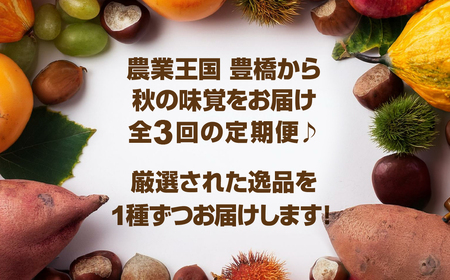 穂の国 秋の味覚 定期便 全3回フルーツ定期便フルーツ定期便フルーツ定期便フルーツ定期便フルーツ定期便フルーツ定期便フルーツ定期便フルーツ定期便フルーツ定期便フルーツ定期便フルーツ定期便フルーツ定期便