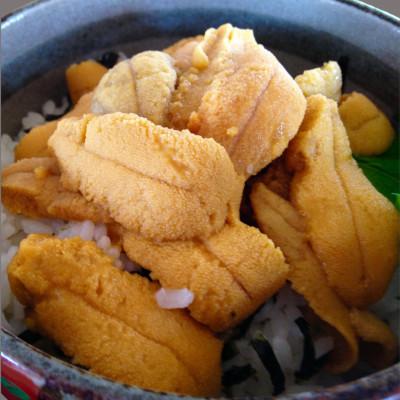 ふるさと納税 八雲町 鮮度抜群!「門脇のウニ」　北海道産塩水生ウニ1パック(100g入り) |  | 01