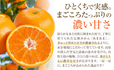 雨よけ完熟みかん「あまあま」約2.2kg 正木久之《12月下旬-1月中旬》【配送不可地域あり】※離島不可