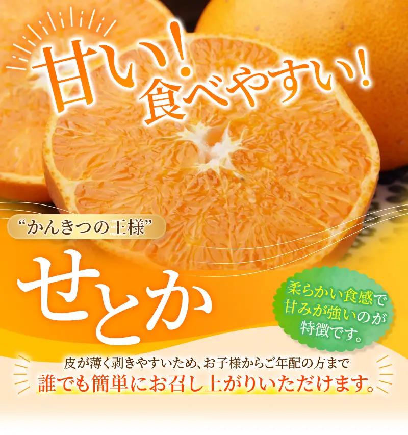 せとか たにぐち農園のせとか 4.5kg ご家庭用【mtn012C】