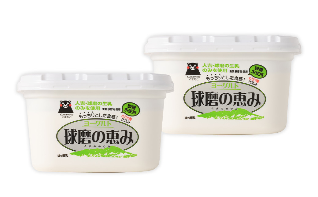 【3ヶ月定期便】球磨の恵 ヨーグルト 砂糖不使用 1kg×2パック×3回 合計6kg