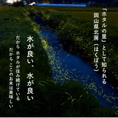 ふるさと納税 真庭市 【2026年先行予約】令和8年産新米 岡山ほたる米 きぬむすめ精米10kg (岡山県真庭産) |  | 02