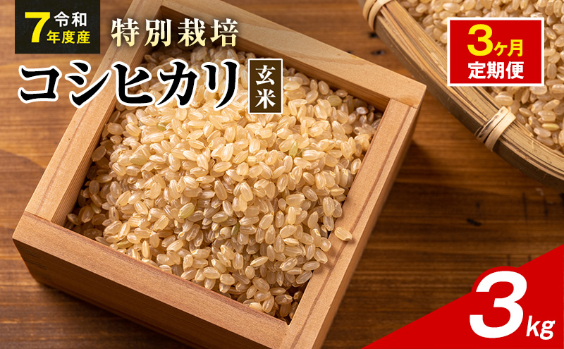 令和7年産 特別栽培米 コシヒカリ 玄米 3kg 静岡県産 色彩選別済 食に意識高い方へオススメ 3ヶ月定期便