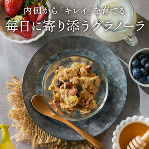【豆腐屋の娘が造るシリーズ】おからグラノーラ（180ｇ）006TM01N.≪ふるさと納税3.0≫