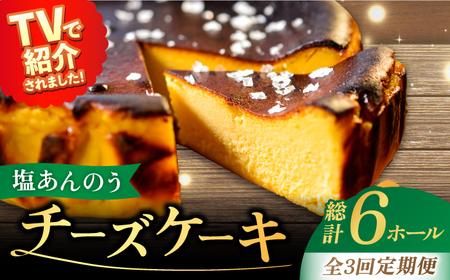 【全3回定期便】チーズケーキ 塩あんのう 2個 ケーキ 塩 芋 スイーツ お菓子 菓子【虎屋】[RBA020] チーズケーキ 定期便 チーズケーキ 定期便 チーズケーキ 定期便 チーズケーキ 定期便