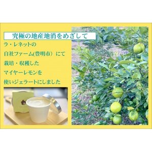 はちみつレモンシャーベット 90ml×8個【配送不可地域：離島】【1635822】