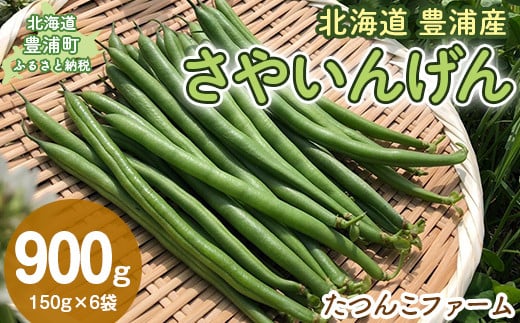 【2025年8月順次発送】さやいんげん150g×6袋 【 ふるさと納税 人気 おすすめ ランキング 野菜 根菜 いんげんインゲン国産 バラ 詰合せ 混合 おいしい 美味しい 甘い 北海道 豊浦町 送料無料 】 TYUF006